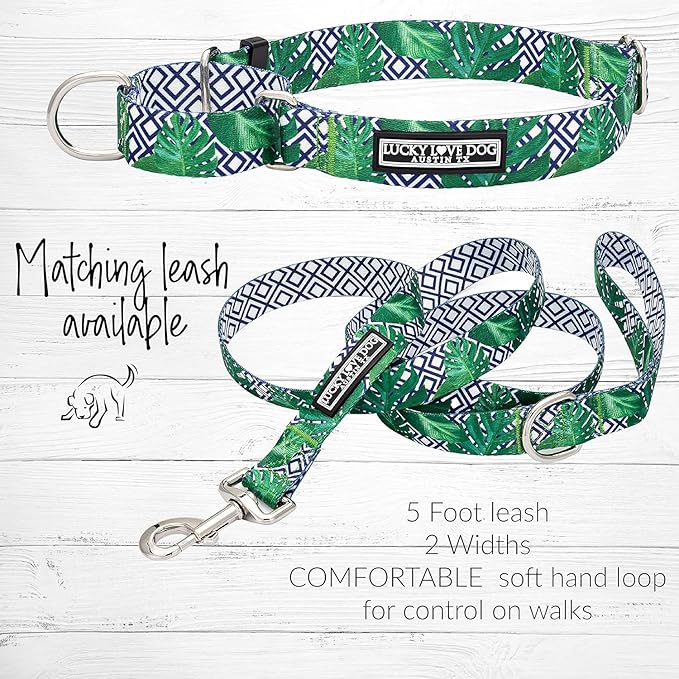 Lucky Love Dog Martingale Collar and Leash Set, Premium No Slip Martingale Collar for Small Boy Dogs, Great for Whippets, Greyhounds, and More (Small, Blue Laguna - Combo)