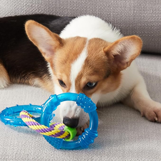 Petstages Orka Dental Links Dog Chew Toy