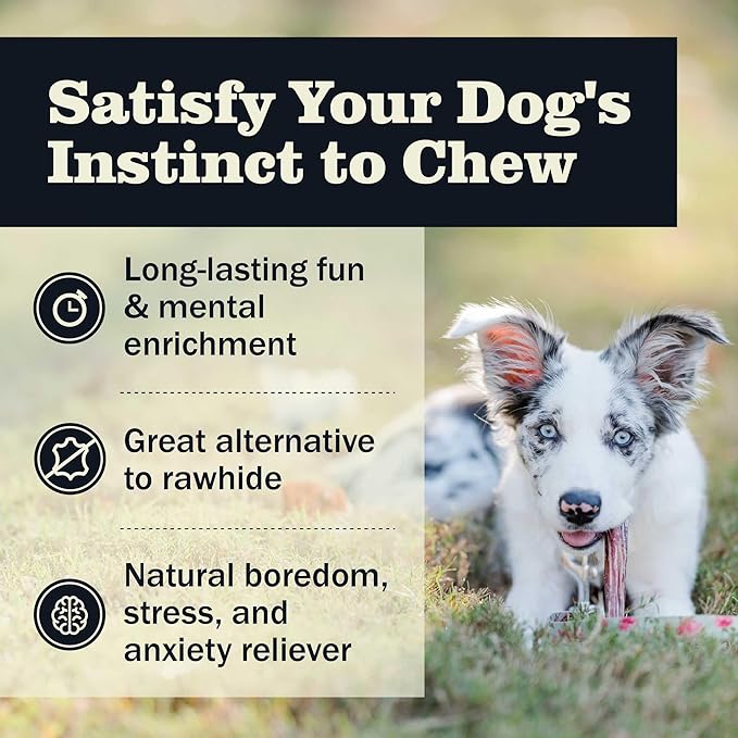 Redbarn Pet Products All Natural 4-5" Bully Sticks for Small & Medium Dogs - Healthy Long Lasting Chews Variety Party Pack - 100% Beef Single Ingredient Low Odor Rawhide Free - 12oz Bag