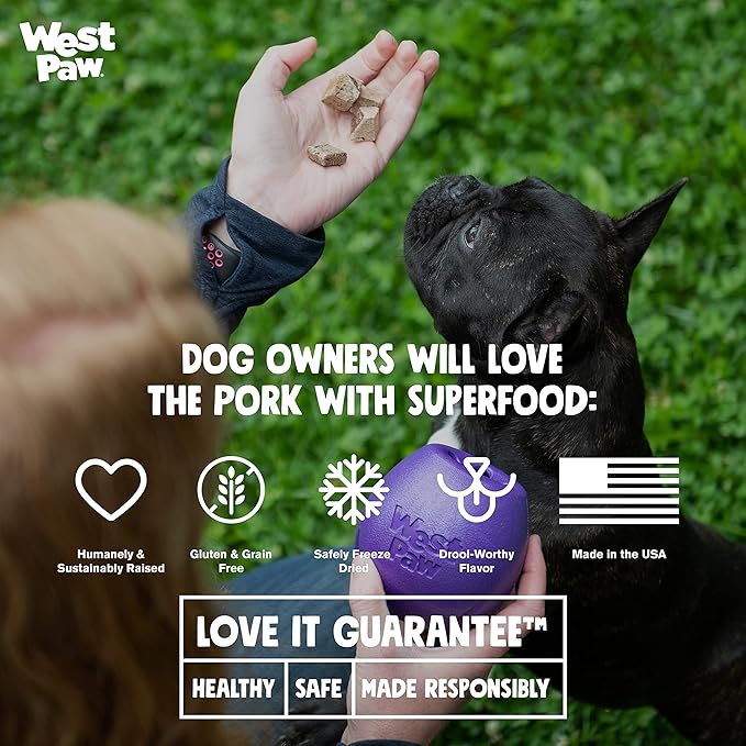 WEST PAW Freeze-Dried Raw All Natural Dog and Puppy Training Treats, Single Ingredient, Humanely Raised and Sustainably Sourced, Made in USA, Pork with Superfood, 2 Pack
