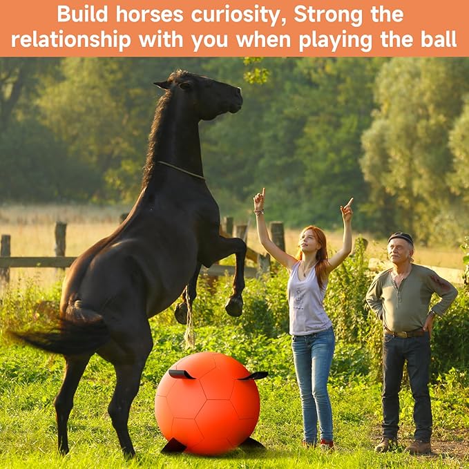 QDAN Herding Ball for Dogs, 25 inch Dog Balls, Giant Dog Toys Horse Toy, Dog Herding Ball for Australian Shepherd, Orange