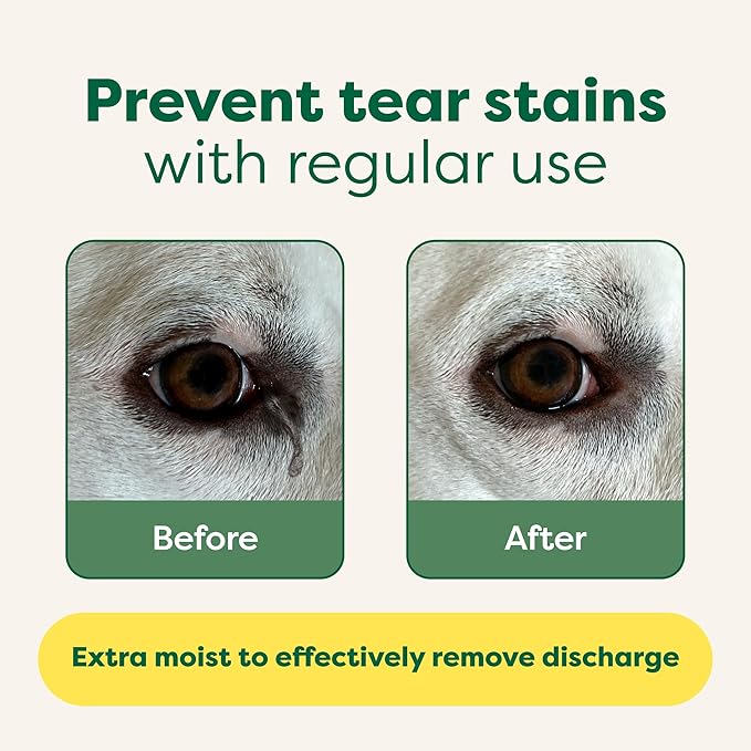 Earth Rated Curly Coat Essentials - Dog Shampoo, Grooming Wipes, Refresh Mist, Eye Wipes & No-Rinse Shampoo