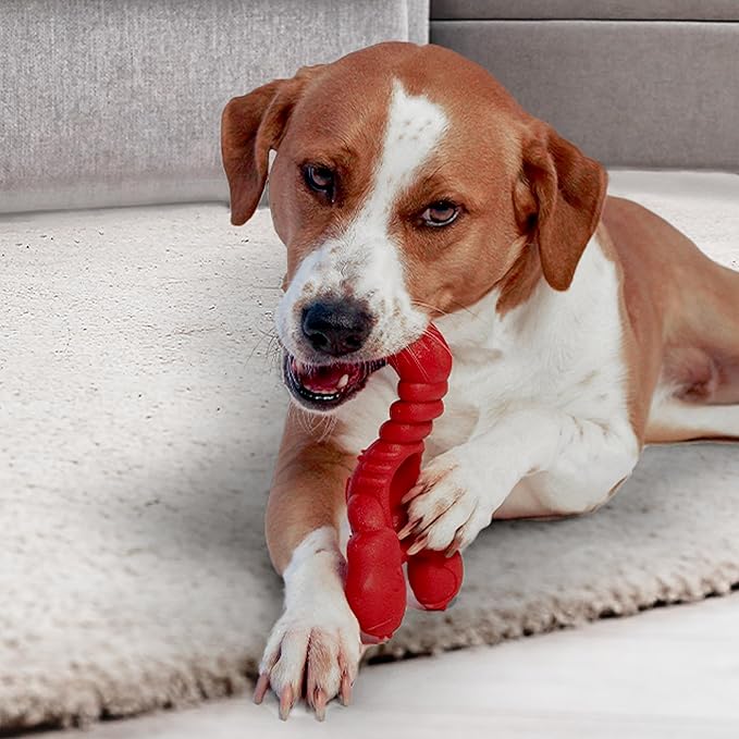 Nylabone Power Chew Lobster Dog Toy Filet Mignon X-Large/Souper - 50+ lbs. (1 Count)