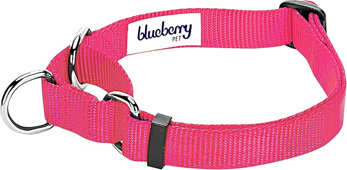 Blueberry Pet Essentials Martingale Safety Training Dog Collar, French Pink, Medium, Heavy Duty Nylon Adjustable Collars for Dogs