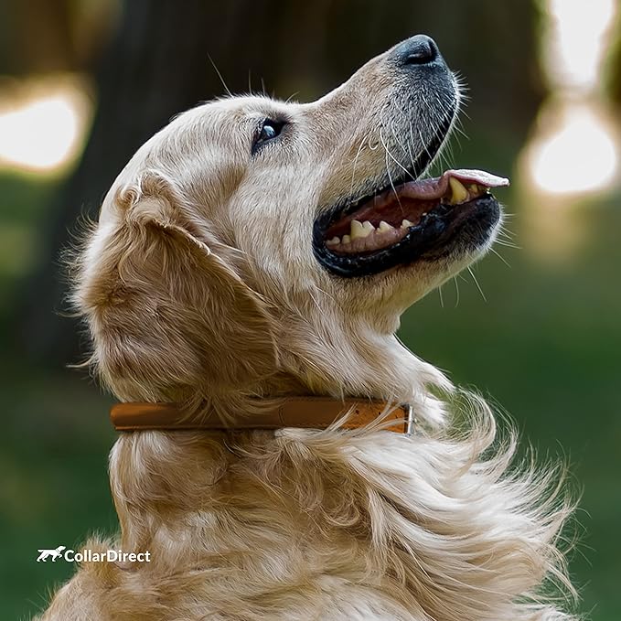 CollarDirect Rolled Leather Dog Collar, Soft Padded Round Puppy Collar, Handmade Genuine Leather Collar Dog Small Large Cat Collars 13 Colors (18-22 Inch, Cinnamon Textured)