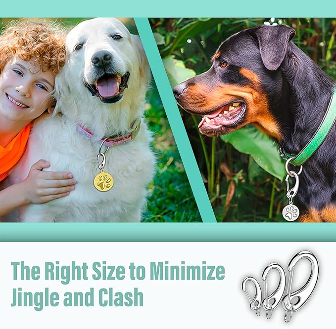 Divoti Leash King Pet Tag Quick Clip/Sping-Load Hook Combo for Pet ID Tags - 1 Per Standard/Medium/Large