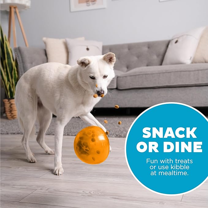 Outward Hound by Planet Dog Snoop Interactive Treat Dispensing Dog Toy, Large, Orange