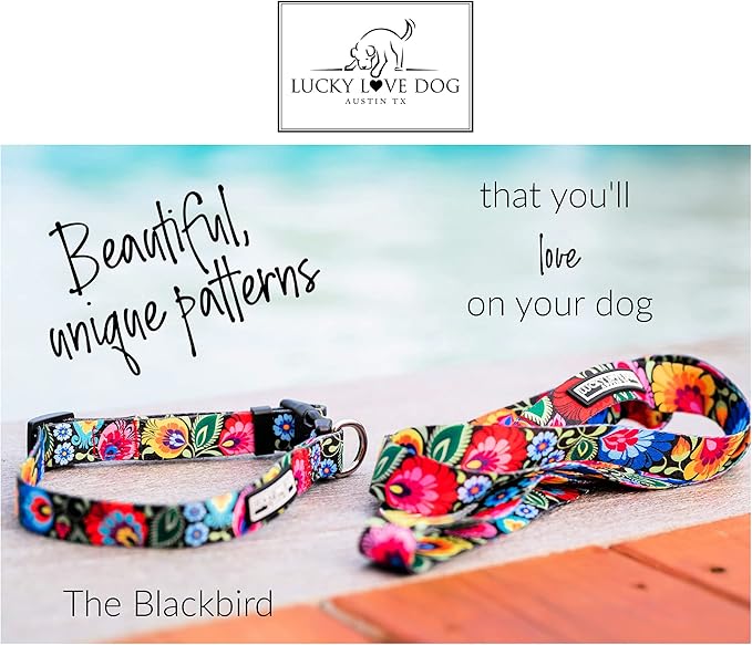 Lucky Love Dog Collars, Vivid Floral Dog Collar, Cute Dog Collar for X-Large Female Dogs, Spring & Summer Themed Flower Print, Blackbird, Extra Large