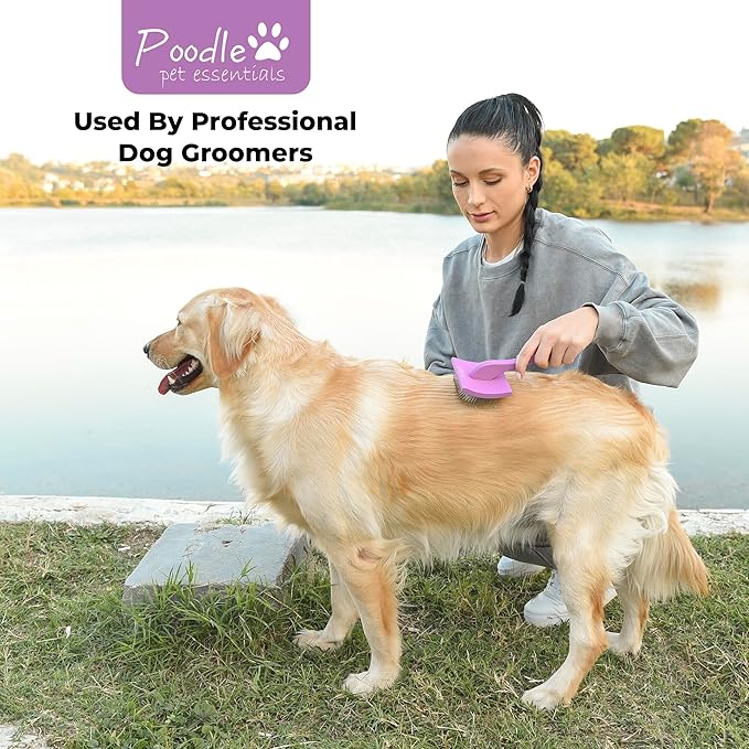 Slicker Brush for Dogs - Detangling Dog Brushes for Grooming with Soft Bristles & long Pins - Professional Cat Deshedding Tool to Removes Tangles & Dirt (Medium)