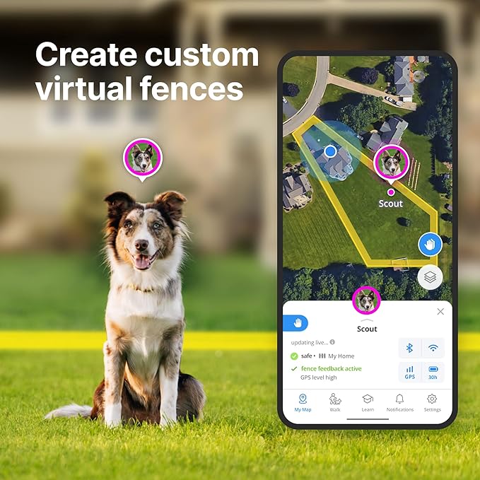 Halo Collar 4, All New GPS Wireless Dog Fence & Dog Training Collar with GPS Tracker, Subscription Required, Waterproof, One Size, Graphite