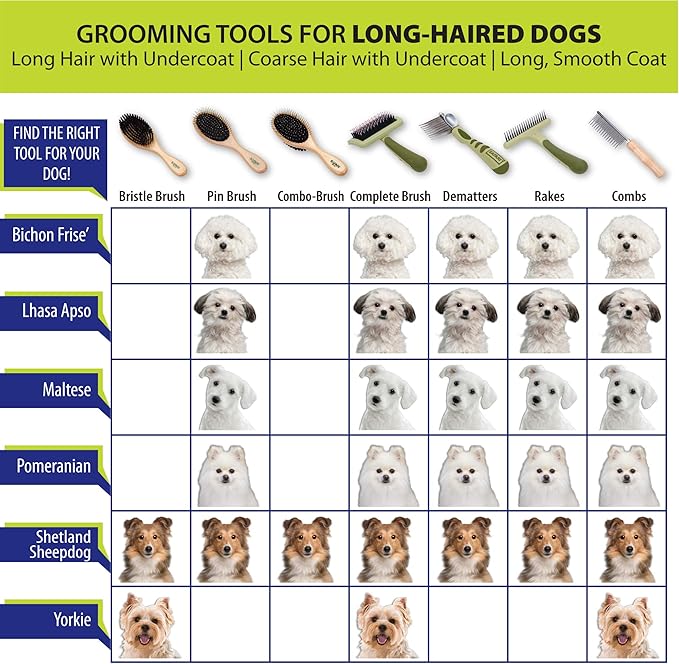 Coastal Pet Safari Comfort Grip Curry Brush for Dogs - Dog Bath and Shampoo Brush and Massager for Indoor & Outdoor Dogs with Short Hair - One Size