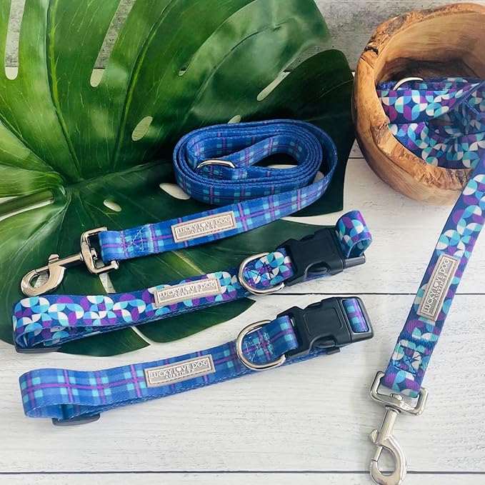 Lucky Love Dog, Blue and Violet Plaid Dog Collar and Leash Set, Adjustable & Comfy Combo Set for Boy and Girl Dogs - (Large, Scotty Combo)