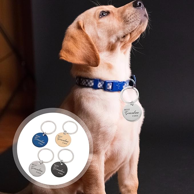 BESPORTBLE 4pcs Pet Id Dog Tags Pet Collar Tags Pet Tags Dog Identification Tags Cat Collar Tag Puppy Tag Labels -Lost Pet Tag Pendant Stainless Steel European and American