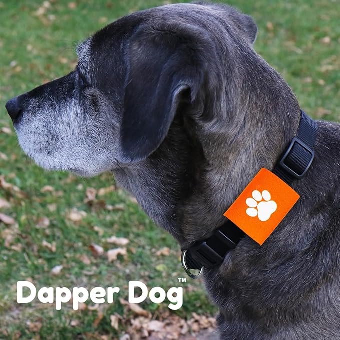 Dapper Dog Pet Tag Silencer and AirTag Holder (Orange with White Paw)