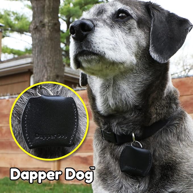 Dapper Dog Leather Dog Tag Silencer (Black)