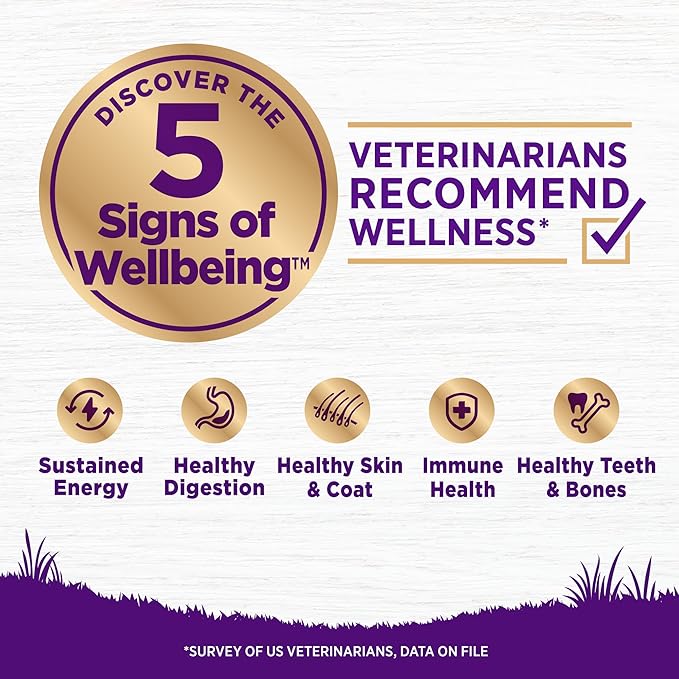 Wellness Complete Health Senstive Skin & Stomach Natural Adult Dry Dog Food, Salmon and Rice Recipe, 24 Pound Bag