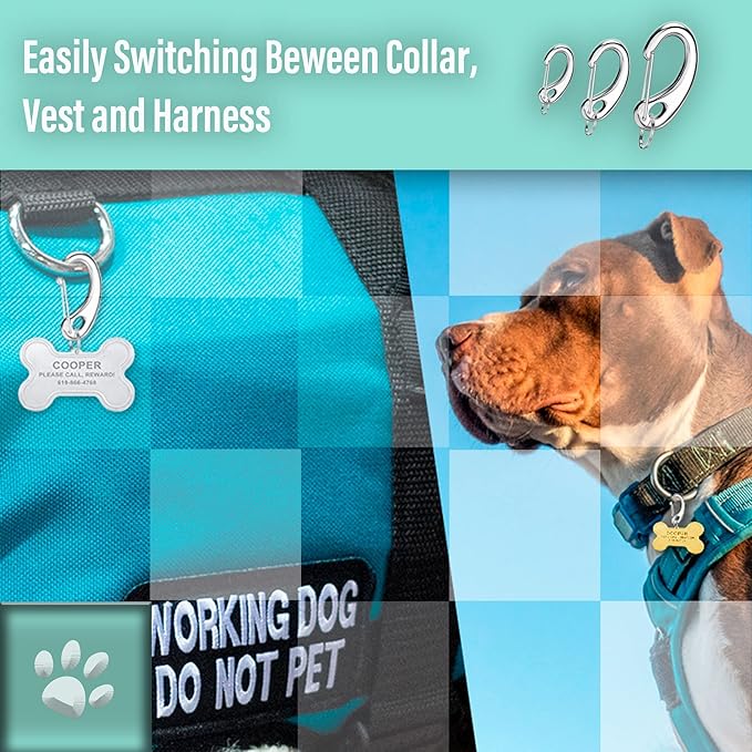 Divoti Leash King Pet Tag Quick Clip/Sping-Load Hook Combo for Pet ID Tags - 1 Per Standard/Medium/Large