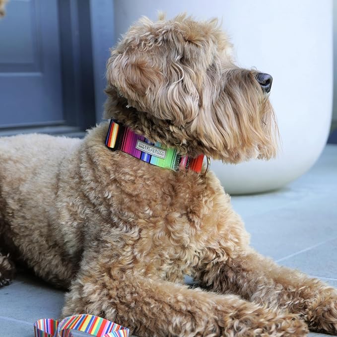 Lucky Love Dog Wide Dog Collar - Adjustable, Durable, Soft Webbing, & Comfortable 1.5 inch Wide Collar for Dogs Male and Female - in Nacho Pattern with Strong Buckle, Medium Size