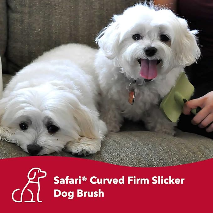 Coastal Pet Safari Curved Firm Slicker Brush - For Dog Grooming and Detangling All Hair Types - 6.5" x 3.06"