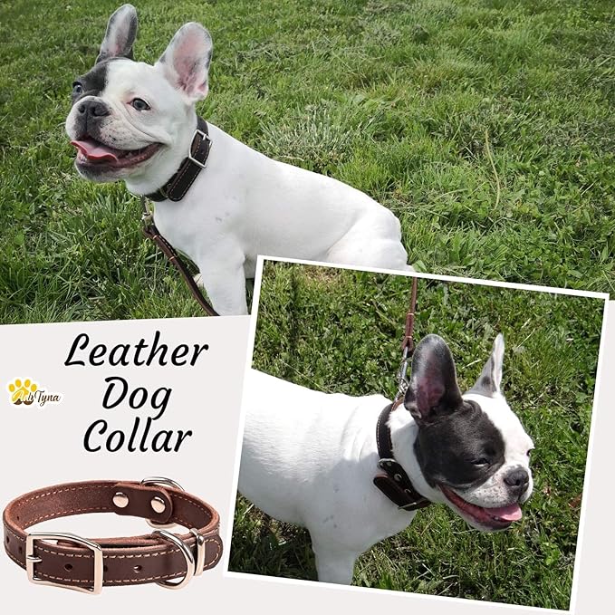 Heavy Duty Leather Dog Collar for Small Dogs - Soft and Strong Dog Collar for Puppy or Small Dogs (Small: Fit 10" - 14.5" Neck, Brown)