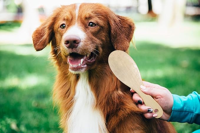 Pets First Deluxe 3 Piece Pet Brush & Comb Grooming Set - Luxury Grooming Set for Pets - Flexible Rubber Sleeve + Short Hair Pet Comb + Double Sided Detangling Brush