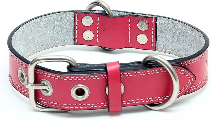Premium Leather Collars with Stainless Steel Buckles (15"-18", Pink)