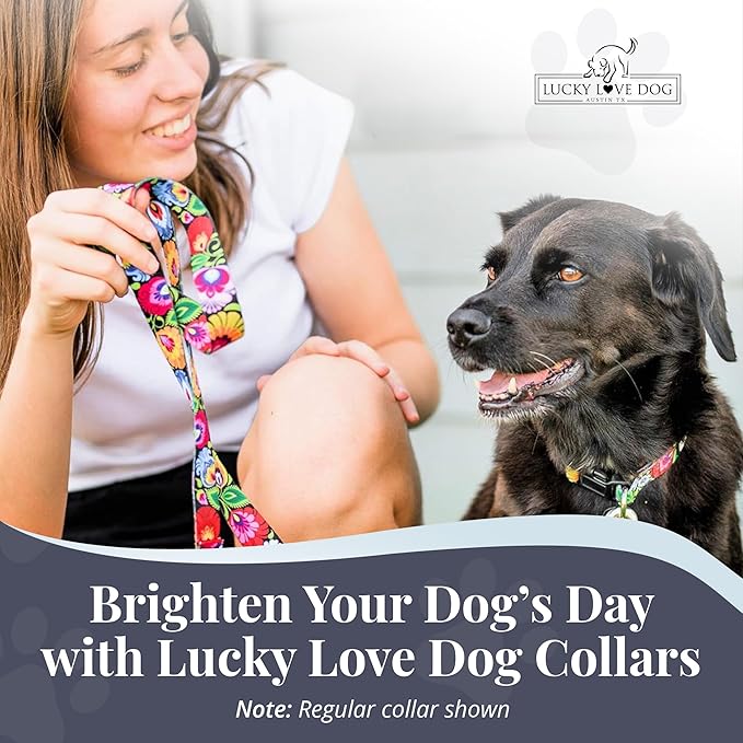Lucky Love Dog Martingale Dog Collar - Adjustable, No-Slip, Durable, & Soft Webbing Dog Collar for Male and Female Dogs Ideal for Training & Walking - Stylish Blackbird Pattern, Small Size