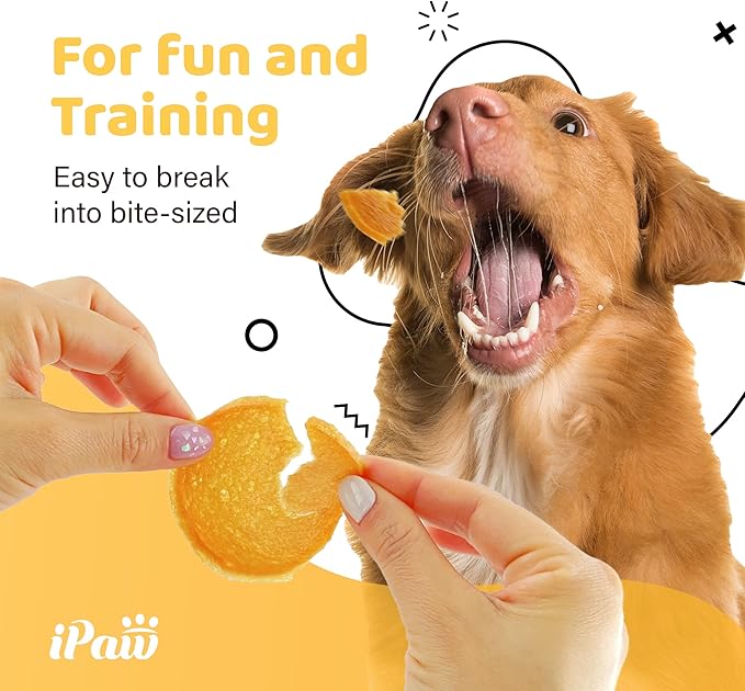 Dog Treats for Puppy Training, All Natural Human Grade Dog Treat, Hypoallergenic, Easy to Digest (Chicken Chips)