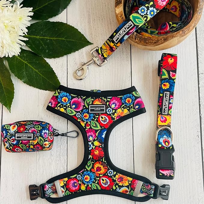 Lucky Love Dog - Adjustable Dog Collar with Easy Click Buckle for Small to Large Dogs, Durable, & Comfortable Collar for Male & Female Dogs, Pet Collar for Puppies & Adult Dogs - Blackbird, X-Small