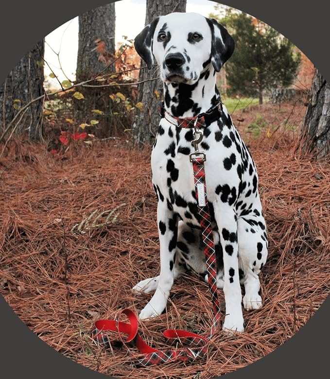 Lucky Love Dog Collar and Leash Set, Beautiful Evergreen Dog Collar, Vivid Berry Plaid Dog Collar for Boy and Girl Dogs - (Extra Small, Heywood Combo)