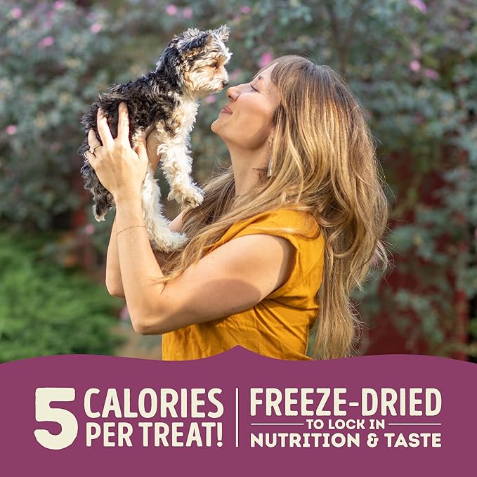 Singles Freeze Dried Dog Treats, Limited Ingredient Grain Free Lamb & Apple Recipe, 3.25oz