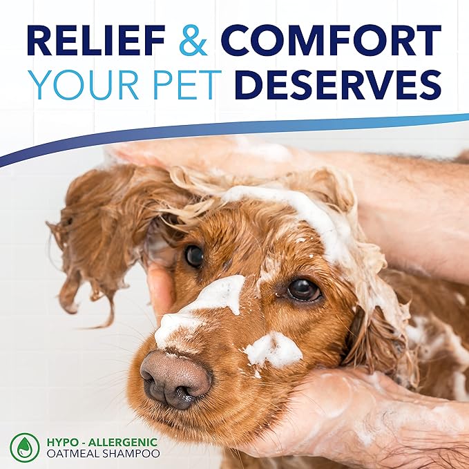 TropiClean OxyMed Hypoallergenic Dog Shampoo for Allergies and Itching, Skin Soothing Shampoo for Pets with Sensitive Skin, Tearless, Cat Safe, 20oz.