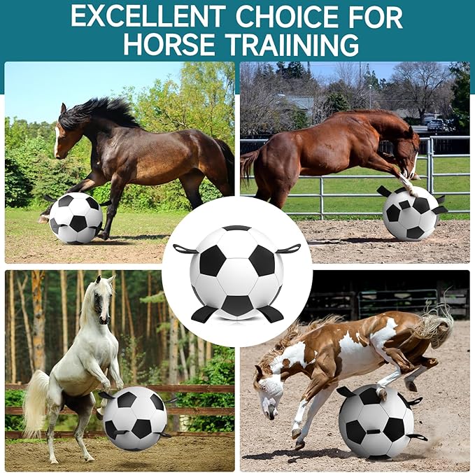 QDAN Herding Dog Balls Horse Ball - 25 inch Horse Toys Herding Ball for Dogs, Large Giant Ball Toys for Australian Shepherd Dog Toys, Black
