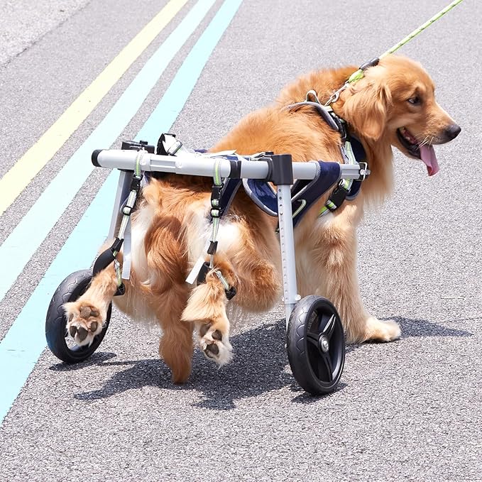 VEVOR Dog Wheelchair for Back Legs, Pet Wheelchair Lightweight & Adjustable Assisting in Healing, Dog Cart with 2 Wheels for Injured, Disabled, Paralysis, Hind Limb Weak Pet (Large)