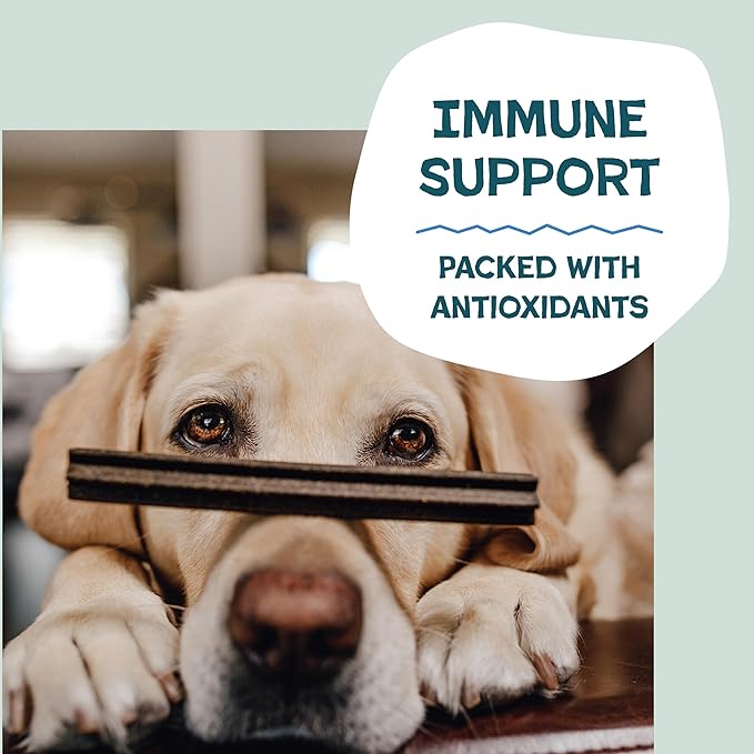 Shameless Pets Toothberry Dental Mini Chews for Dogs – Natural Dog Dental Sticks for Fresh Breath, Teeth Cleaning & Removes Tartar, Grain-Free Dog Treats, No Corn or Soy
