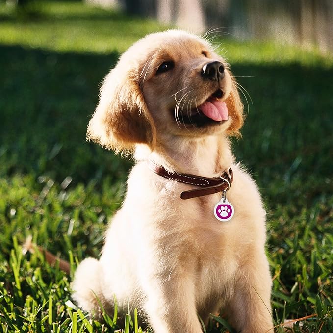 QR Code Dog Tag Silent Id Pet Tags Personalized Name Plate with Online Profile (Large, Pink Paw)