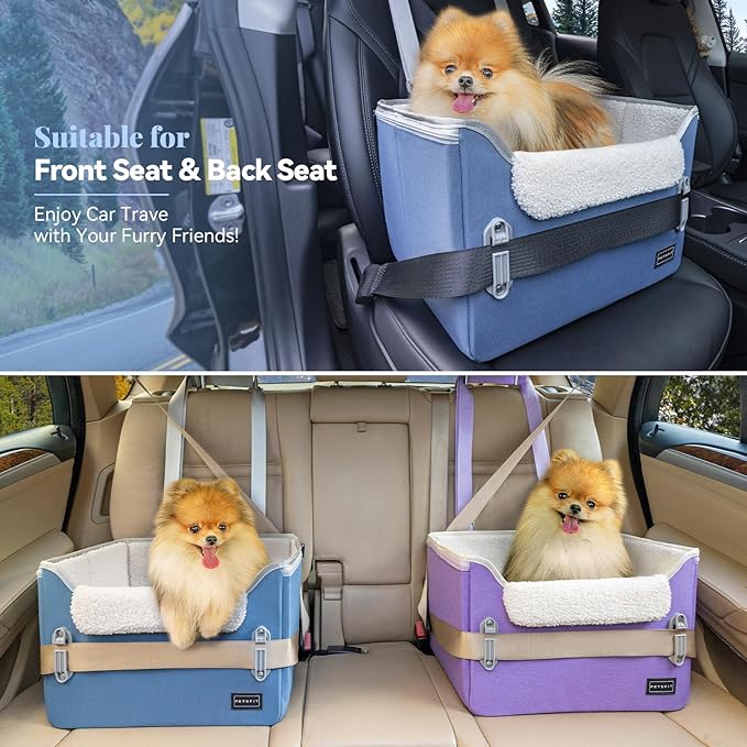 PETSFIT Small Dog Car Seat, Puppy Portable Dog Booster seat for Car with Clip-On Leash, Adjustable Straps Suitable for Small Pets Up to 25lbs (Navy Blue)