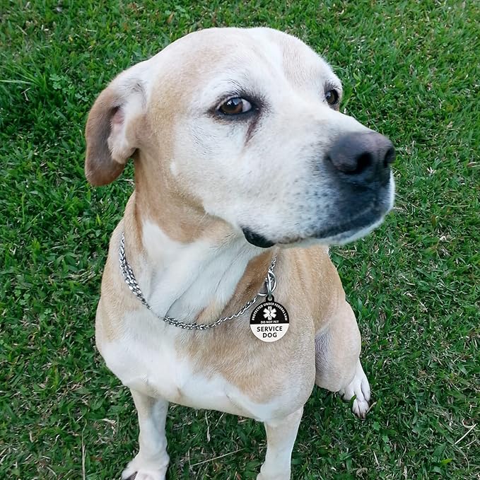 MYLUCKYTAG Service Dog Tag, QR Code Stainless Steel Pet ID Tag Dog Tag, Online Pet Profile, Pet Location Alert Email, Digital Pet Tag, Durable Pet ID, Dog Collar Tag, Engraved Pet Tag