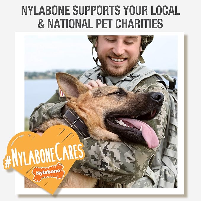 Nylabone Puppy Ring Bone Chew Toy - Puppy Chew Toys for Teething - Puppy Supplies - Chicken Flavor, Medium/Wolf (1 Count)