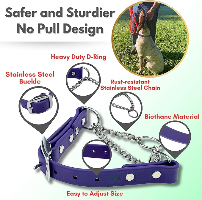 Martingale Collar for Dogs, Biothane, Stainless Steel Hardware, No Pull, Made in The USA, Professional Grade, Extra Large, Purple