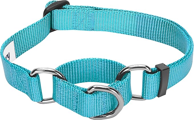 Blueberry Pet Essentials Martingale Safety Training Dog Collar, Turquoise, Small, Heavy Duty Nylon Adjustable Collars for Dogs