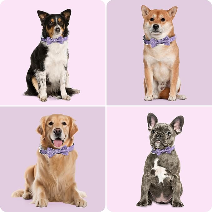 Dog Collar with Bow for Small Medium Large Dogs, Cute Bling Dog Bow Tie Collar with Metal Buckle, Soft & Durable for Medium Dogs Walking (Purple, M)