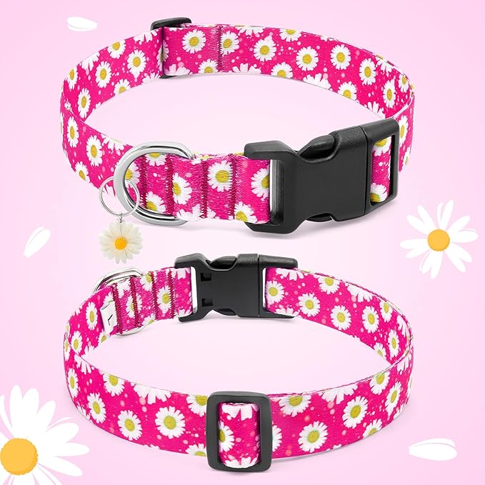 BiPawTi Dog Collars - Cute Flower Collar for Small Dog with Daisies Charms, Pretty Floral Dogs Collar for Female Dogs Puppy Girls Boys Pet (S, Pink)