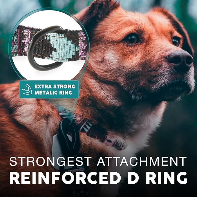 Embark Urban Dog Collar – Dog Collar Stylish & Durable Nylon Dog Collar for Large Dogs, Small Dogs & Medium Dogs.Comfortable Pet Collar Strong Buckles for Any Size Breed |Puppy Collars|