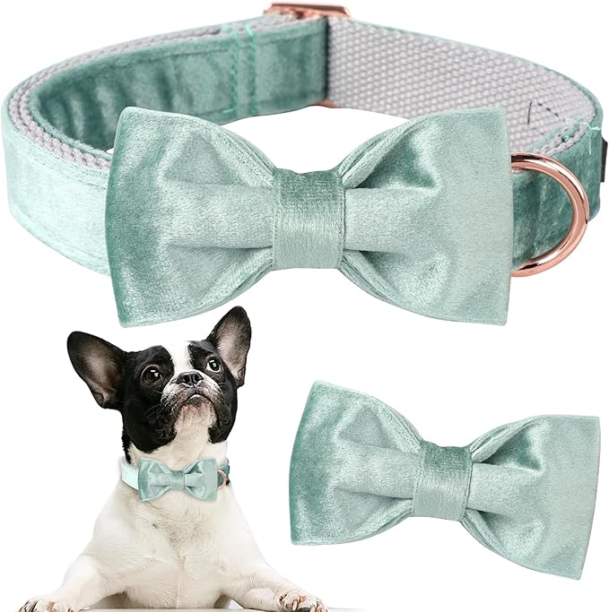 ARING PET Velvet Dog Collars with Bow tie, Dog Bowtie Collar, Adjustable Green Dog Collar,Large.