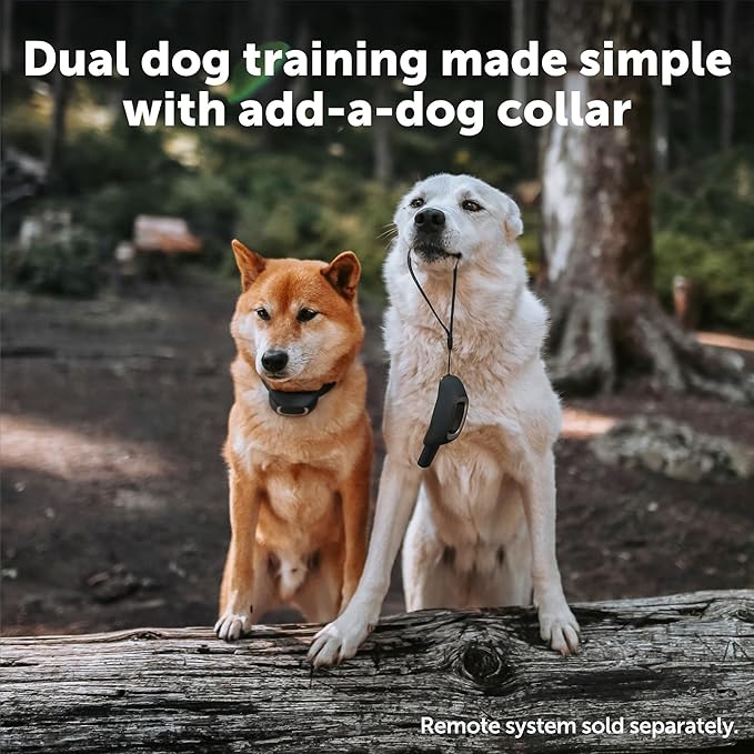 PetSafe Add-A-Dog Remote Training Collar – Smaller Version for Small or Medium Dogs – Choose from Tone, Vibration, or 15 Levels of Static Stimulation – Waterproof and Durable – Rechargeable