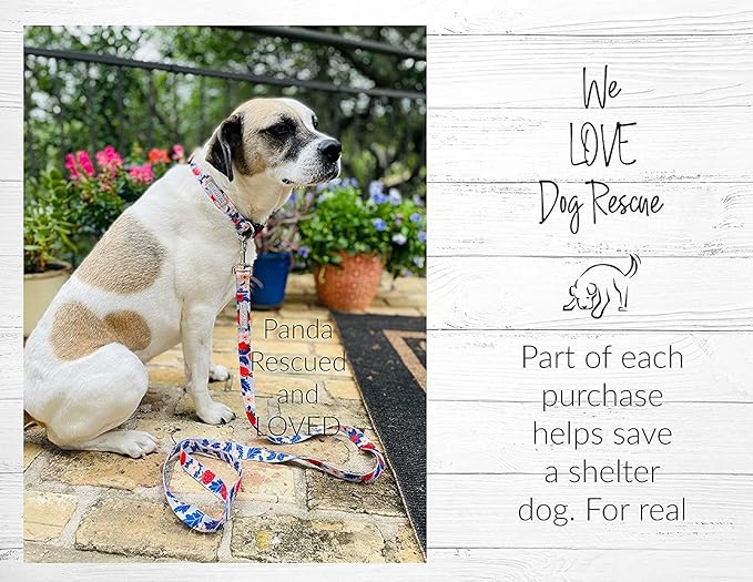 Lucky Love Dog Collar Combo Set, Strawberry Cute Girl Dog Collar and Leash Set, Dog Collar and Leash Set for X-Small Dogs, Part of Purchase Donated to Rescue (Extra Small, Sweet Berry, Combo)