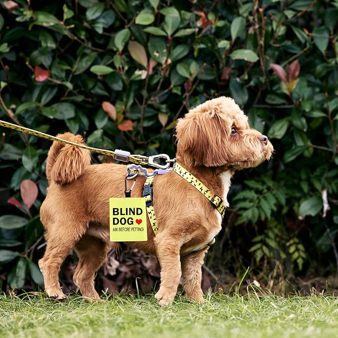 PWHAOO Blind Dog Ask Before Petting Alert Hang Tags for Dog Nervous Dog Hanging Dog Alert Patches Hanging Dog Tags (Blind Dog Alert)