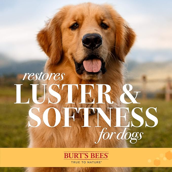 Burt's Bees for Pets Palm Brush with Hemp Bristles | Best Ergonomic Dog Brush To Groom Large Dogs | Easy to Hold Dog Brush Handle Reduces Stress On Your Wrist | Ideal for Daily Grooming