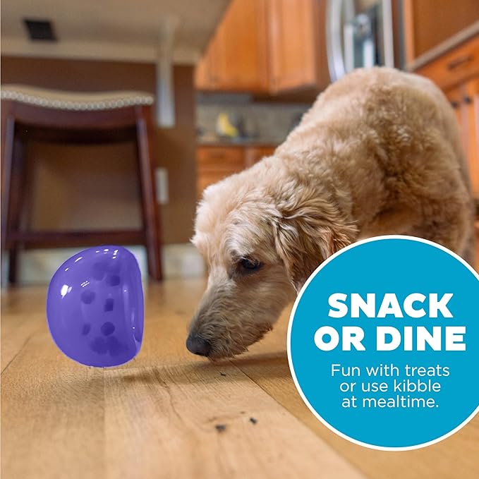 Outward Hound by Planet Dog Lil' Snoop Interactive Treat Dispensing Dog Toy, Small, Purple